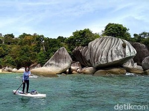 Terapi Berselancar, Cara Baru Mengobati Trauma Psikologis