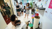 Nama-nama kucing di museum ini keren-keren lho. Nama mereka di ambil dari artis ternama, seperti Julia dari Julia Robert, Usher, Harry dari nama Pangeran Harry. Terdapat 14 ekor kucing yang menjadi superstar di museum. Terdapat 14 ekor kucing yang menjadi superstar di museum. Selain itu kita bisa melihat anak kucing yang lucu-lucu serta memberi mereka makan. (dok. The Cat Museum)