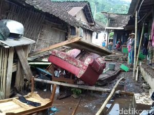 Seorang Kepala Desa di Bondowoso Jadi Tersangka Perusak Hutan