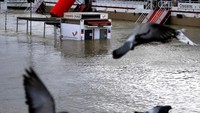 Dilansir Reuters, diprediksi tinggi permukaan air Sungai Seine akan mencapai puncaknya pada akhir pekan ini (Foto: Dok. REUTERS/Mal Langsdon)