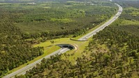 Jembatan penyeberangan di Jerman berada di atas sistem jalan motor Autobahn. Jembatan itu terlihat hijau oleh rumput di atasnya. Istimewa/Boredpanda.