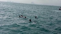 Sandiaga tiba dan berenang di Pulau Bidadari, Kepulauan Seribu, Senin (29/1/2018) sekitar pukul 08.40 WIB.  (Foto: Muhammad Fida ul Haq/detikcom)