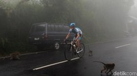 Para pebalap harus menembus kabut tebal.