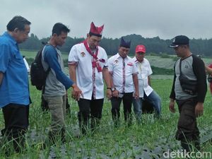 Ke Banyuwangi, Tommy Soeharto Beri Ilmu Tanam Bawang Putih ke Petani