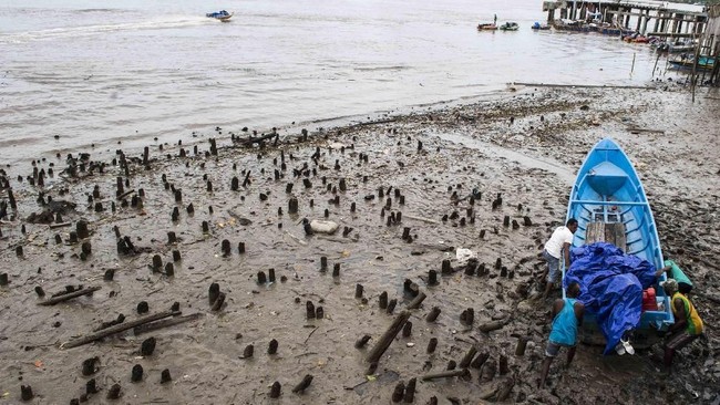 9 Fakta Soal Asmat yang Sulit Diakses: Tak Ada Sinyal, Jalan Tanpa Aspal