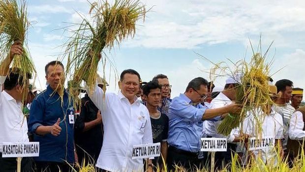 Ketua DPR-Ketua MPR-KSP Moeldoko Ikut Panen Raya di Banyuasin