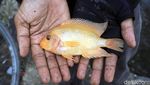 Menghabiskan Sore di Danau Sunter