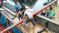 Selain masalah pengiriman, PLN juga harus menghadapi masalah perizinan untuk penebangan di jalur listrik. Pool/PLN Wilahyah Riau dan Kepri.