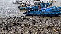 Nelayan bersandar di Pelabuhan Agats, Kabupaten Asmat, Papua, Minggu (28/1). 