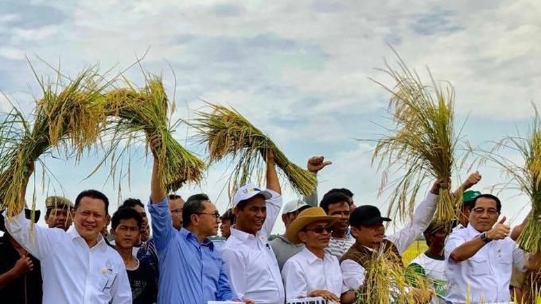 Ketua DPR-Ketua MPR-KSP Moeldoko Ikut Panen Raya di Banyuasin Ketua DPR-Ketua MPR-KSP Moeldoko Ikut Panen Raya di Banyuasin