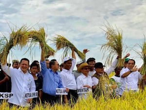 Ketua DPR-Ketua MPR-KSP Moeldoko Ikut Panen Raya di Banyuasin