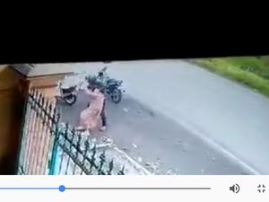 Polisi Kantungi Ciri Penjambret Nenek di Malang yang Terekam CCTV