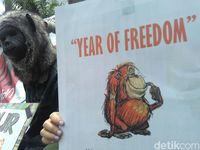 Pecinta Primata Gelar Aksi Tuntut Penghentian Topeng Monyet