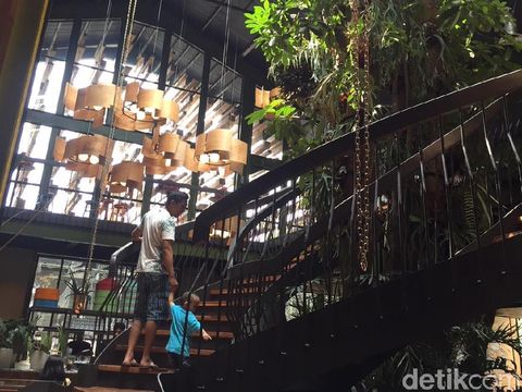 Kayu-Kayu di Alam Sutera