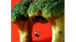 Lucunya! Cokelat dan Miniatur Berpadu dalam Event Chocolate Trail di Hong Kong