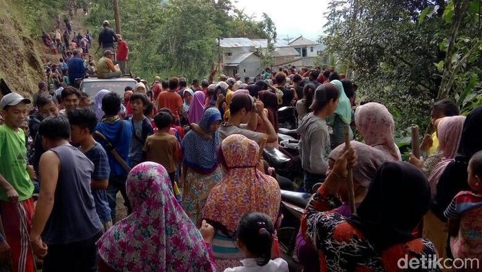 Melihat Tradisi Berburu Hama  Babi Hutan di Lahan Kapulaga  