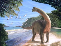 Berapa Rata-rata Umur Dinosaurus? Ternyata Tak Selama Hewan Lain