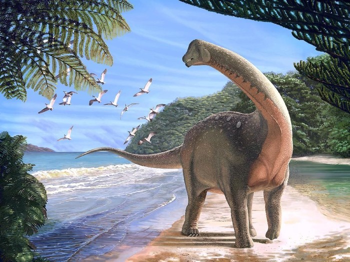 Artists life reconstruction of the titanosaurian dinosaur Mansourasaurus shahinae on a coastline in what is now the Western Desert of Egypt approximately 80 million years ago is pictured in this undated handout image obtained by Reuters on January 29, 2018.   Andrew McAfee/Carnegie Museum of Natural History/Handout via REUTERS  ATTENTION EDITORS - THIS IMAGE WAS PROVIDED BY A THIRD PARTY.  NO RESALES. NO ARCHIVE. NO SALES     TPX IMAGES OF THE DAY