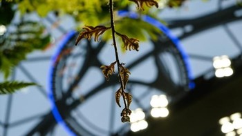 Foto: Dok. techrunch/Devin Coldewey