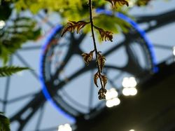 Kantor Toko Online Senilai Rp 53 Triliun yang Menakjubkan