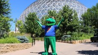 Henry Doorly Zoo di Nebraska punya 17.000 hewan dari 962 spesies binatang dengan luas 53 Hektar. Mereka punya rawa-rawa indoor terbesar di dunia, dan gurun indoor pun ada (Omahas Henry Doorly Zoo and Aquarium/Facebook)