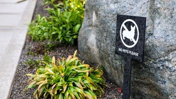 Demi menjaga lingkungan tanaman di dalamnya, pengunjung dilarang membawa masuk hewan. (Foto: Dok. techrunch/Devin Coldewey)