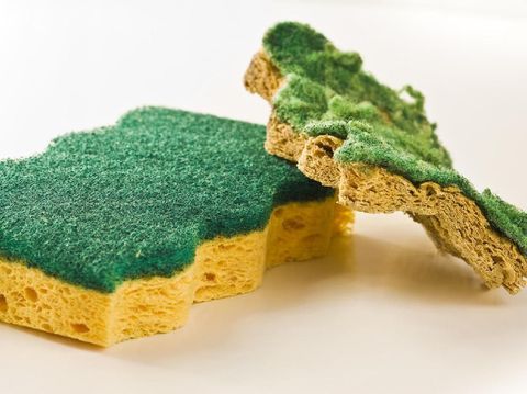 7 Benda di Rumah yang Harus Sering-sering Diganti agar Terhindar dari Kuman