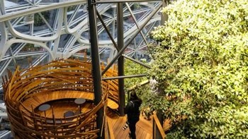 Salah satu sudut ruang kantor yang sangat asri. (Foto: Dok. techrunch/Devin Coldewey)