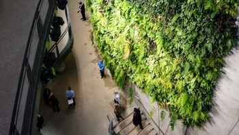 Kantor baru ini diharapkan dapat memicu kreatifitas karyawan dalam bekerja karena suasana yang nyaman dan alami. (Foto: Dok. techrunch/Devin Coldewey)