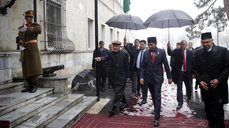 PKS Puji Jokowi yang Jadi Imam Salat di Afghanistan PKS Puji Jokowi yang Jadi Imam Salat di Afghanistan