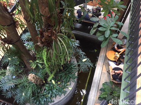 Kayu-Kayu, Restoran Baru yang Instagramable di Tangerang Selatan