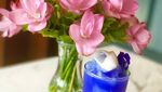 Pencinta Warna Biru, Wajib Lihat Nih 10 Sajian Cantik Ini!