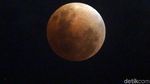 Penampakan Super Blue Blood Moon di Jakarta