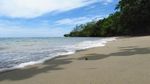 Satu Lagi Hewan Unik dari Timur Indonesia, Ikan Pasir!