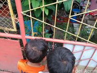 Heboh Entok Hitam Penghuni Rumah 'Tengkorak' di Cimahi