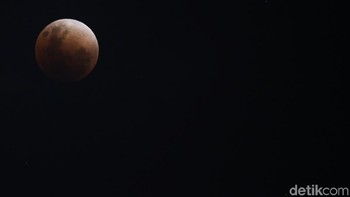 Proses gerhana bulan total mulai terjadi sejak pukul 01.24 - 05.19 WIB. (Foto: Rachman Haryanto)