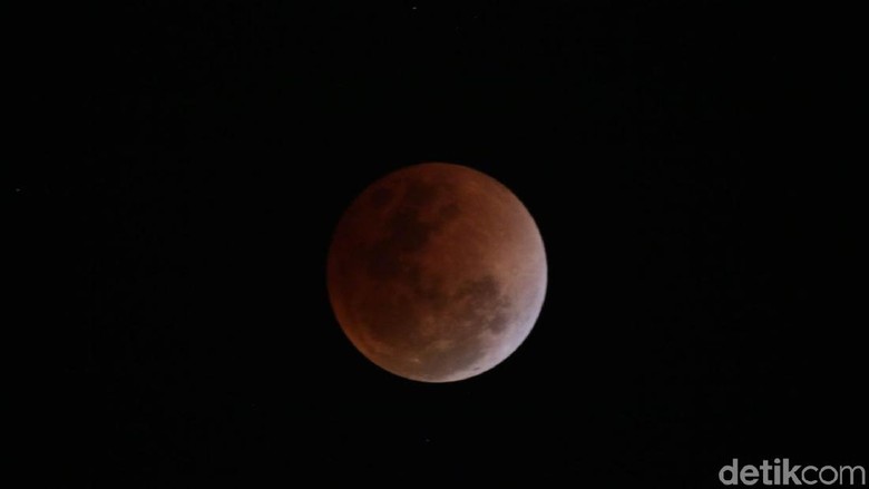 Penampakan gerhana Super Blue Blood Moon (Agus/detikTravel) Penampakan gerhana Super Blue Blood Moon (Agus/detikTravel)