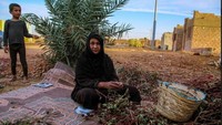 Diketahui desa itu dihuni oleh sekitar 303 wanita. Oleh pemerintah setempat, Al Samaha memang dibuat khusus untuk memfasilitasi para wanita dan janda yang terkucilkan (Al Arabiya)