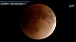 Blood Moon! Potret Bulan Kemerahan Hasil Pantauan NASA
