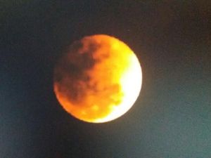 Oranye-Kemerahan, Penampakan Super Blue Blood Moon di Langit Ancol