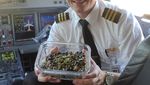 Keren Banget! Ini 10 Pose Pilot Vegetarian Makan di Kokpit Pesawat