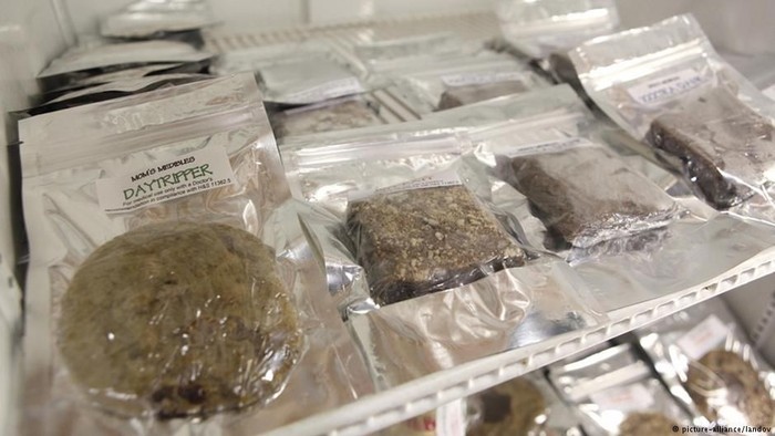 Mabuk Akibat Ganja, Polisi Toronto Minta Bantuan Rekannya