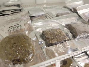 Mabuk Akibat Ganja, Polisi Toronto Minta Bantuan Rekannya