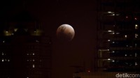 Fenomena Blue Blood Moon terlihat sempurna pada pukul 19.51-21.07 WIB (Rachman Haryanto/detikFoto)