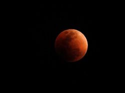 Potret Penantian Super Blue Blood Moon di Berbagai Negara