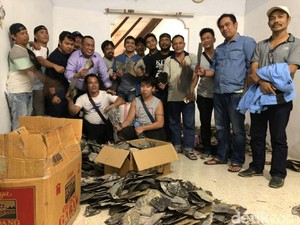 Simpan 200 Kg Sisik Penyu Ilegal, 2 WN China Ditangkap di Makassar