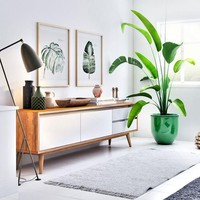 Tumbuhan tropis dengan penataan yang simpel juga bisa menghadirkan perpaduan nuansa etnik dan modern yang khas. Foto: Instagram