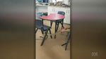 Detik-detik Ular Piton Masuk Kelas di Australia