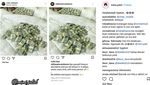 Ups! Pamer Kemewahan, Sunan Kalijaga Diduga Nyatut Foto Tumpukan Dollar
