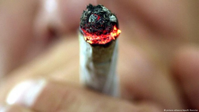 Ganja Atau Senjata: Warga Jerman Hanya Bisa Memilih Salah Satu